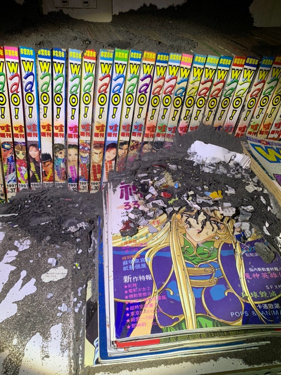 漫畫書被白蟻蛀蝕