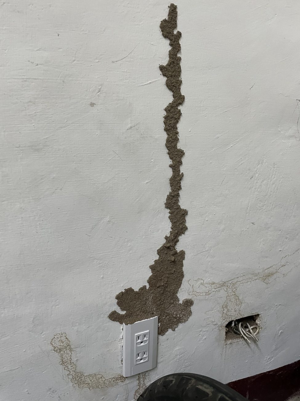 牆面上一條條白蟻泥道
