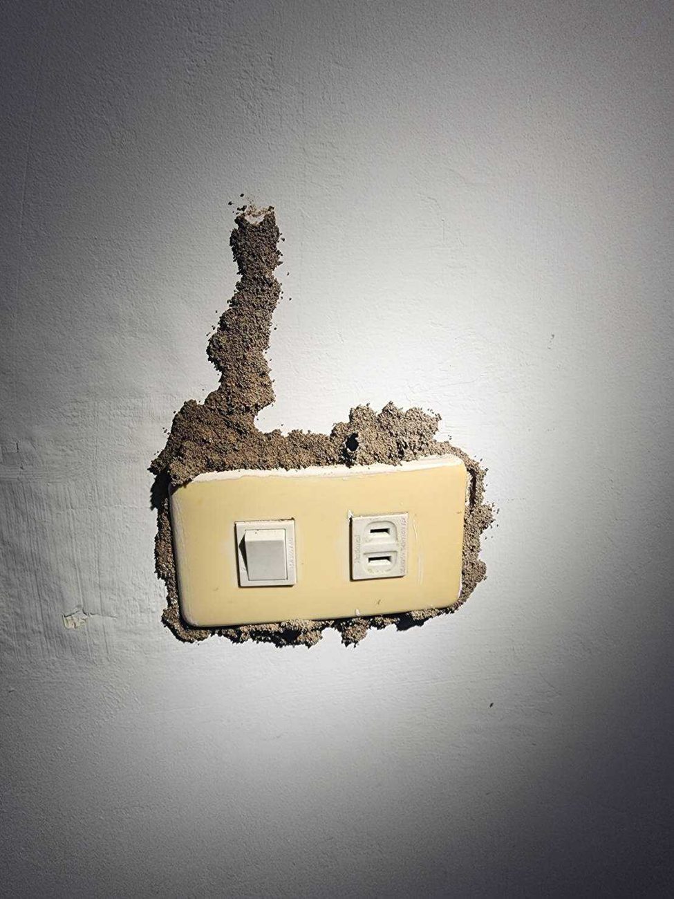 插座周圍的白蟻泥道