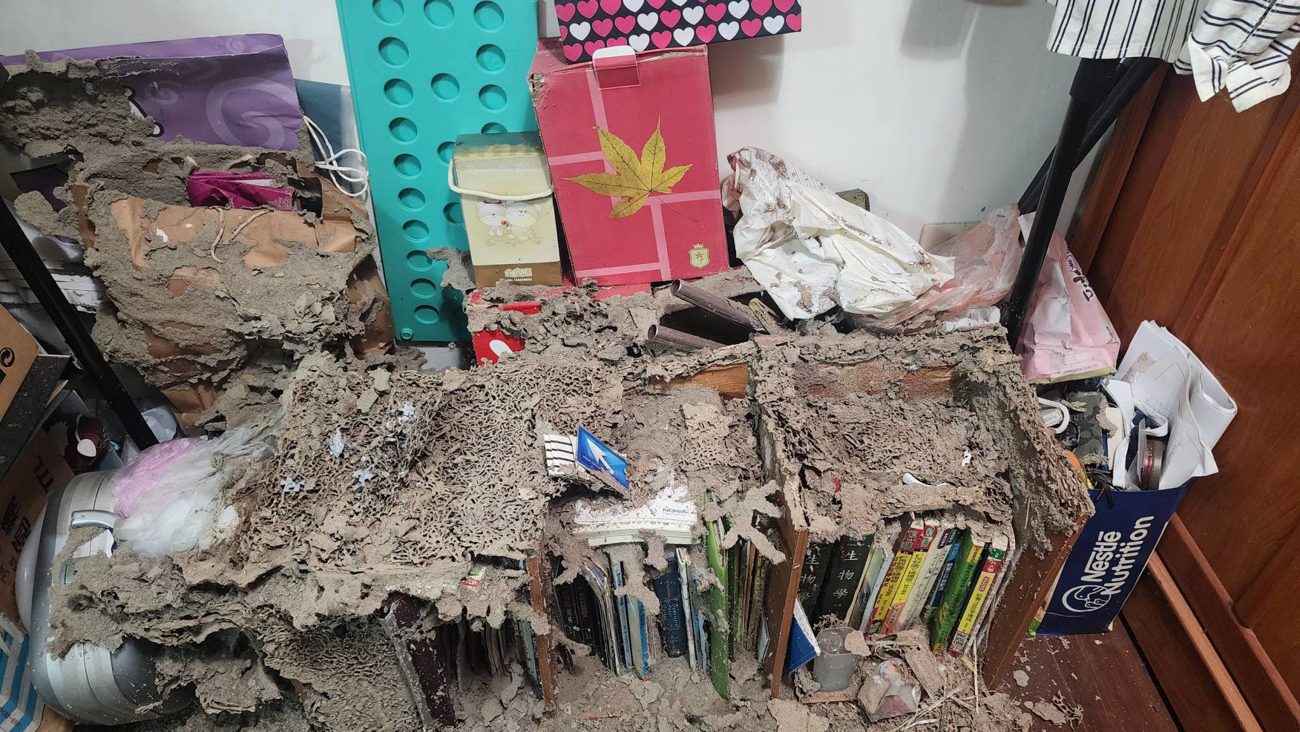 書櫃與雜物被白蟻蛀蝕