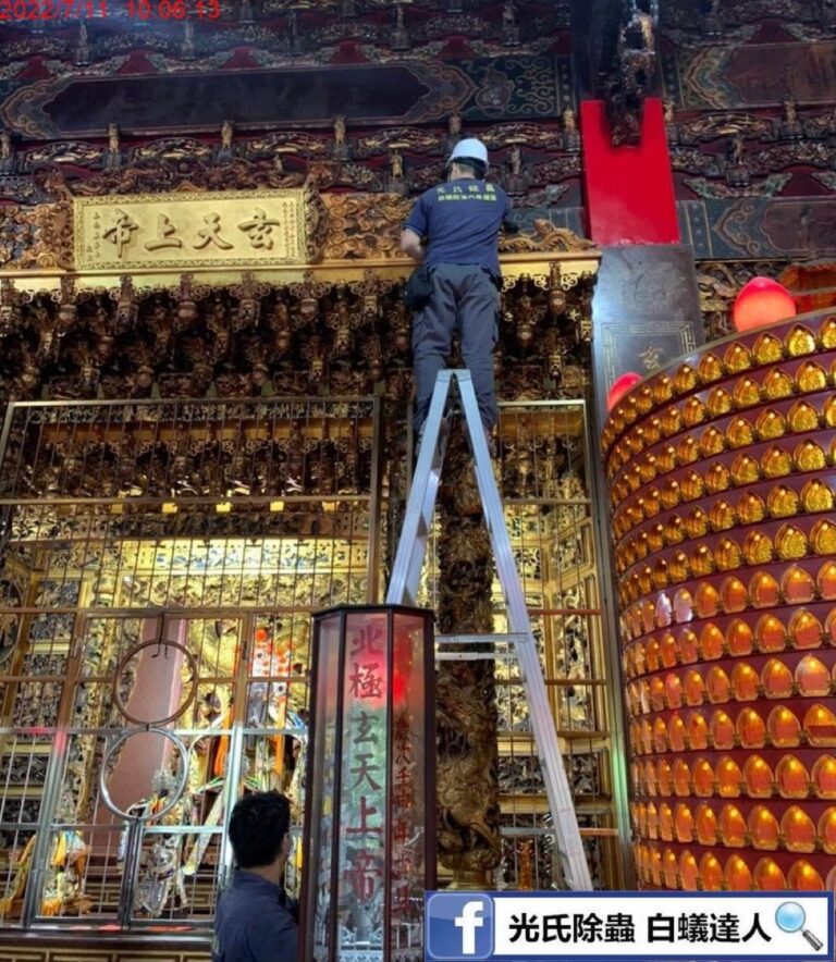 光氏除蟲在寺廟架梯施作