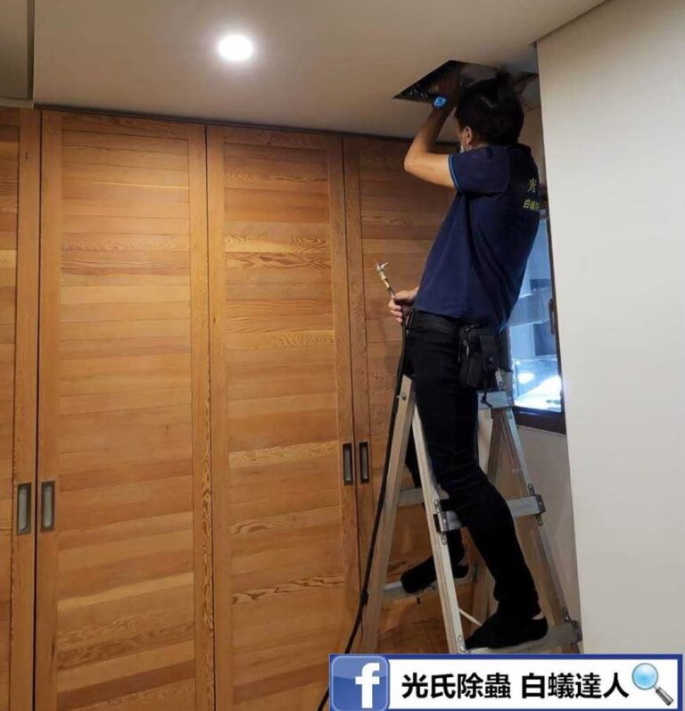 光氏除蟲白蟻防治實績：裝潢白蟻防治