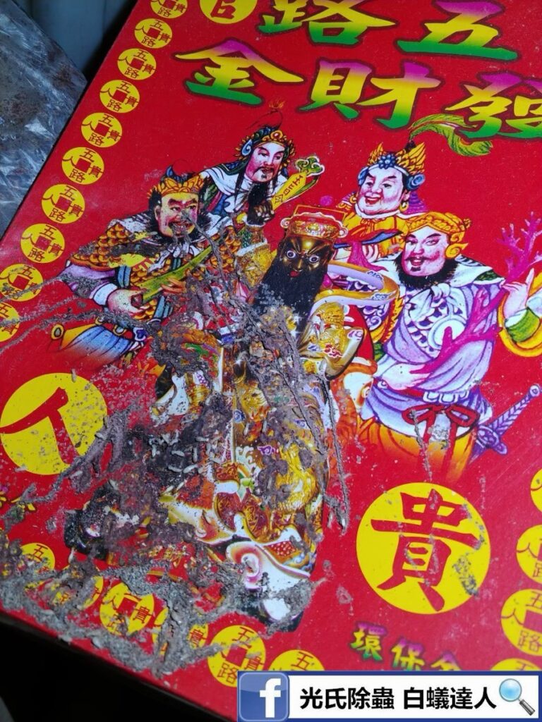 光氏除蟲白蟻防治實績：白蟻啃食金紙