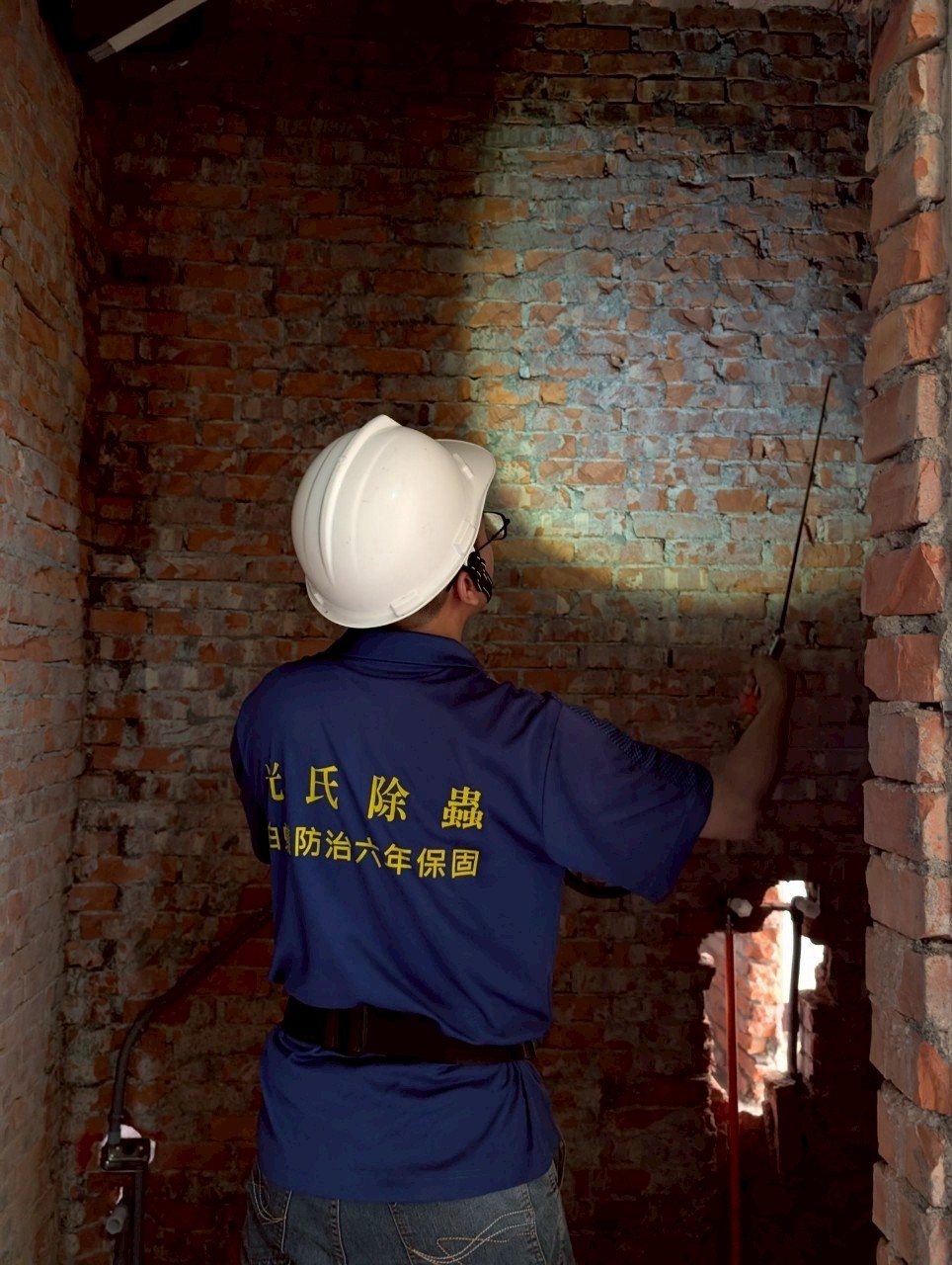 拆除壁面後，師傅用手電筒沿紅磚牆逐段檢查白蟻
