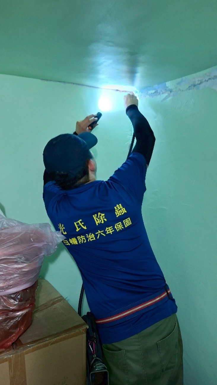 沿牆面上緣的蟻道逐段處理