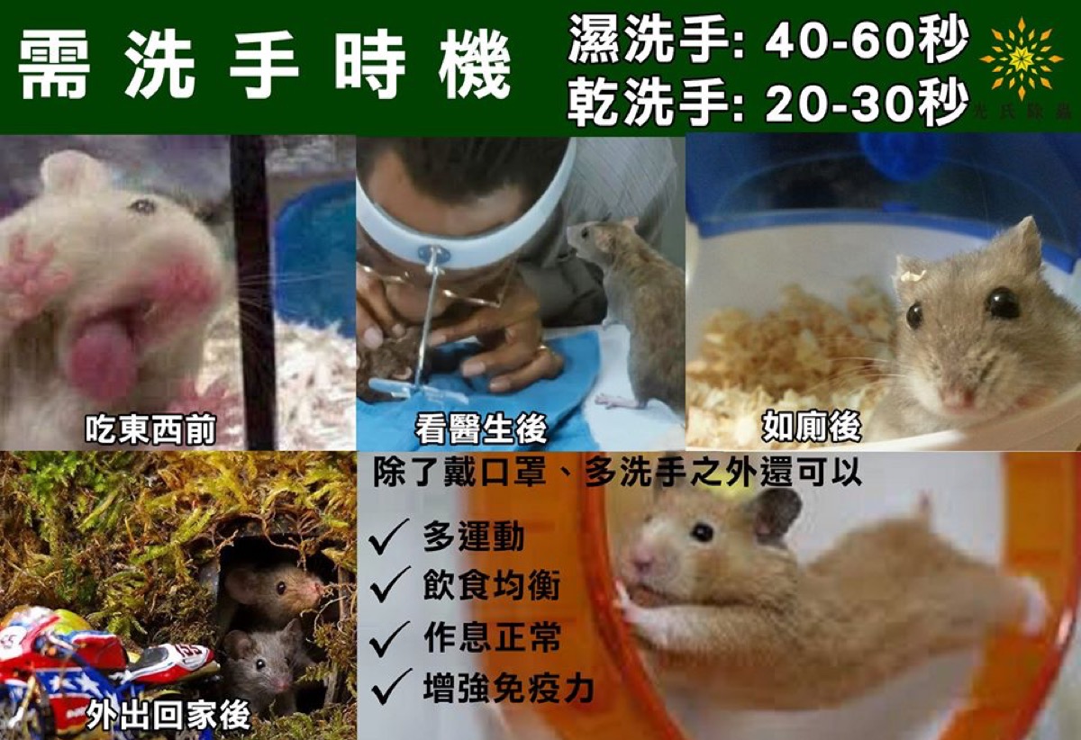 養成良好洗手習慣