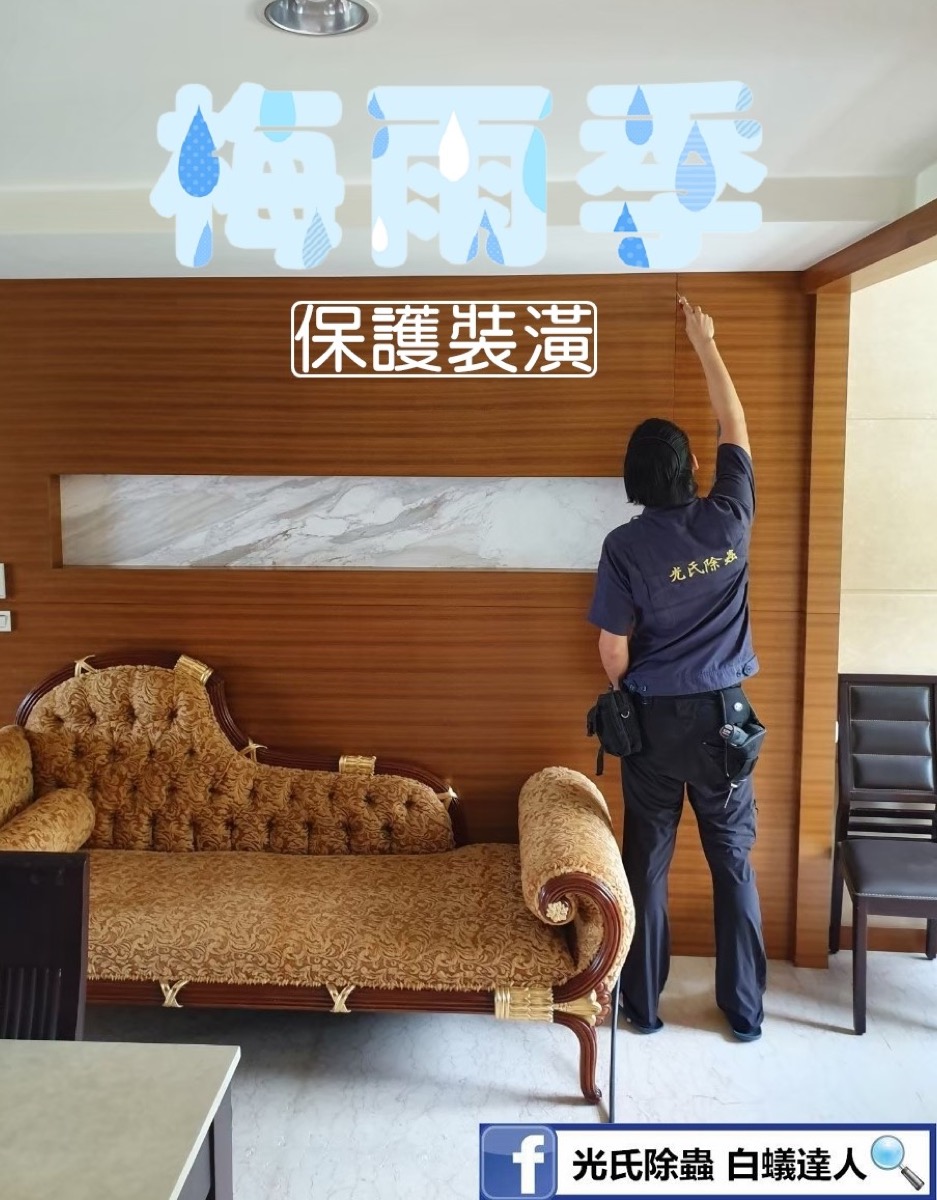 裝潢白蟻防治