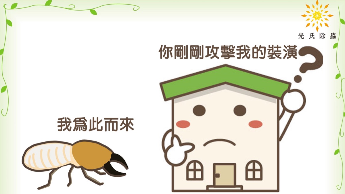 白蟻防治