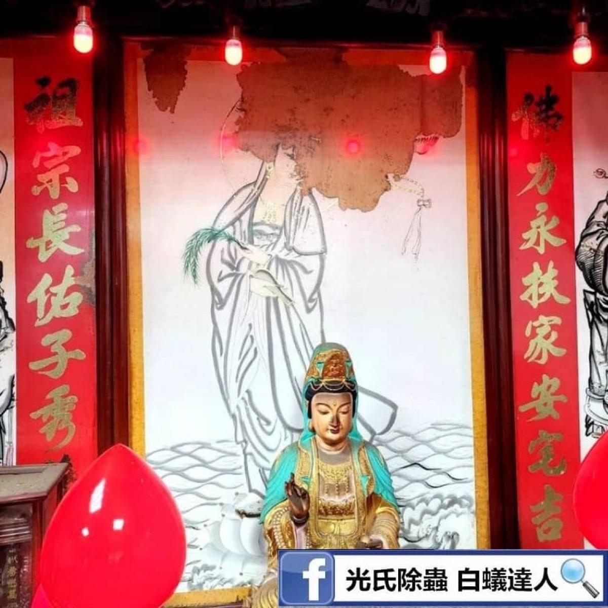 白蟻防治