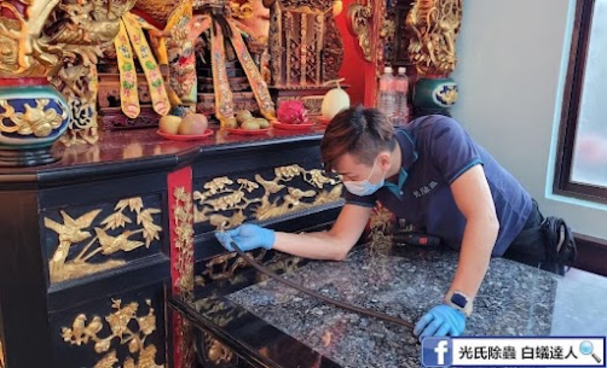神明桌白蟻