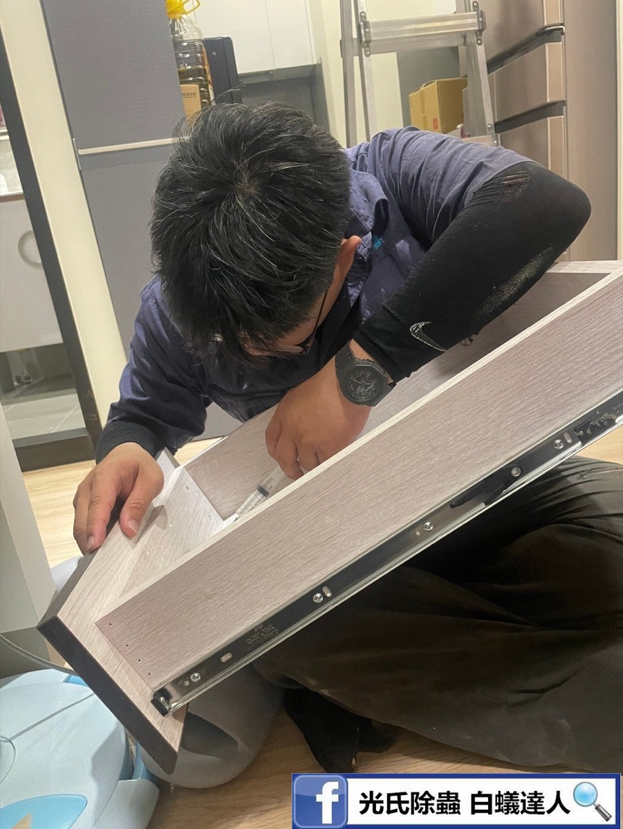 居家白蟻防治