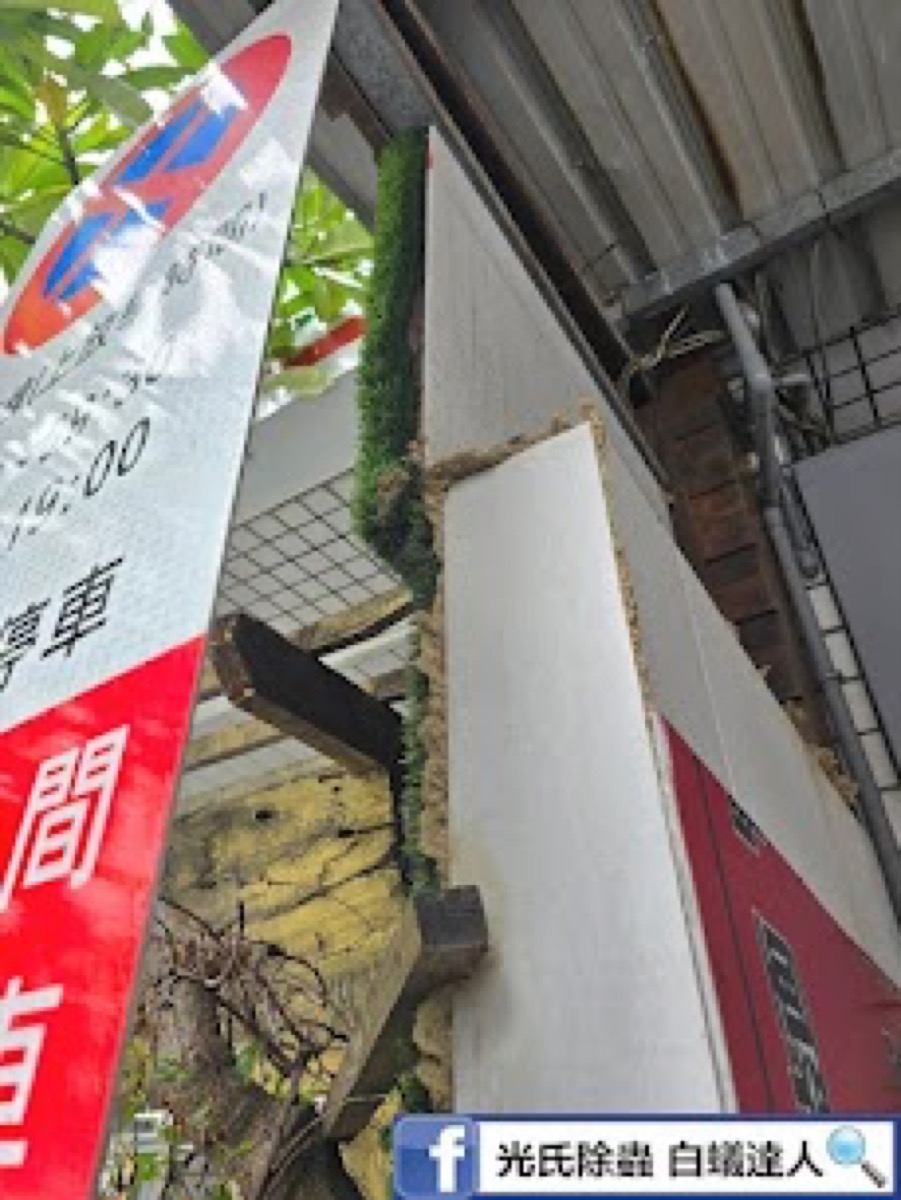 戶外招牌白蟻