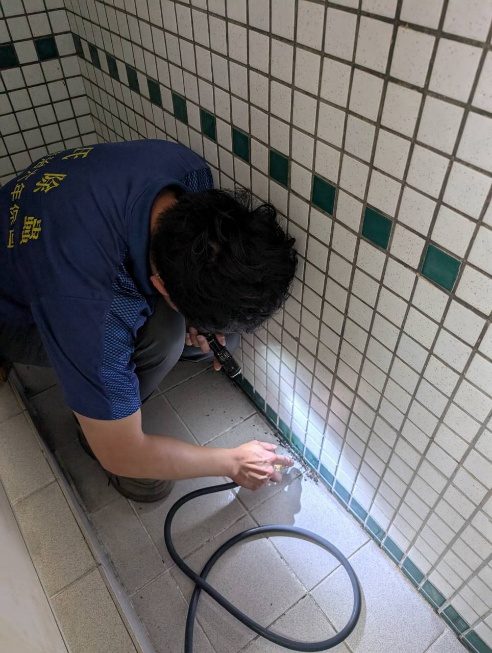 化妝室磁磚縫隙出現蟻道，沿縫隙灌藥