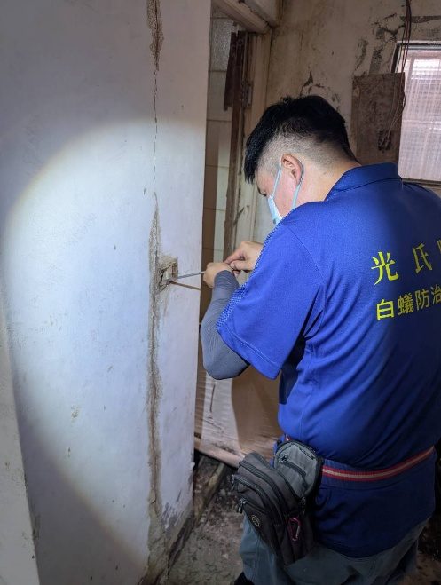 高雄三民區透天：插座孔白蟻