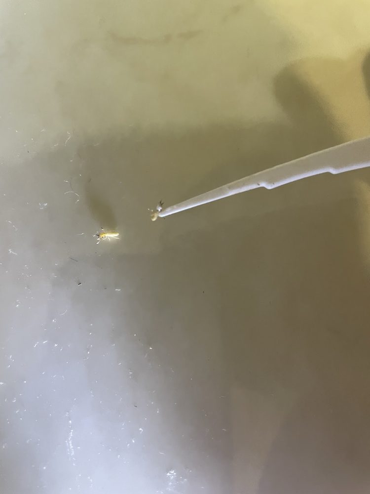 S○○附上的照片 4