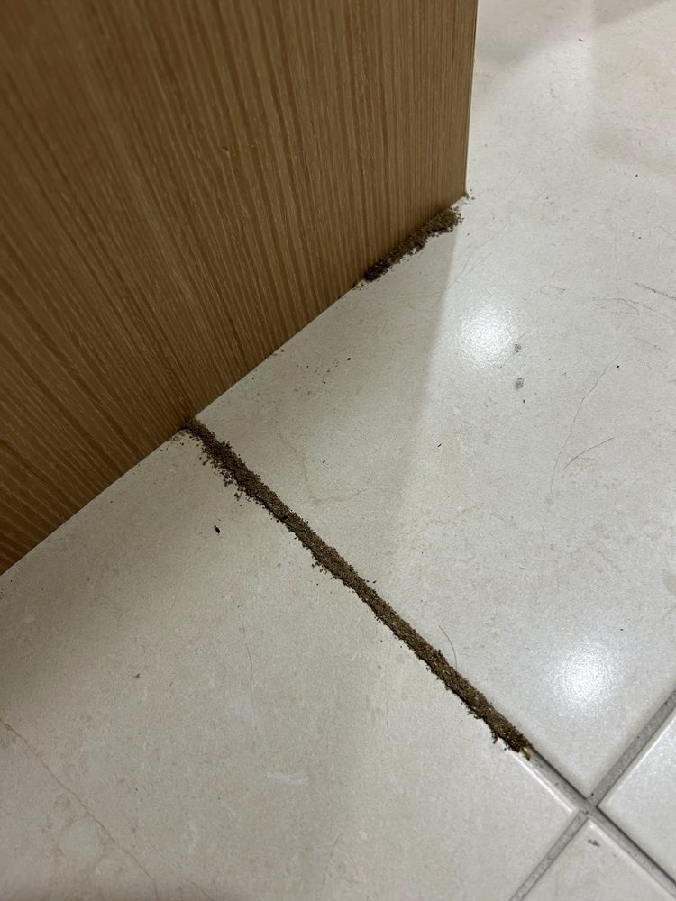 s○○附上的照片 2