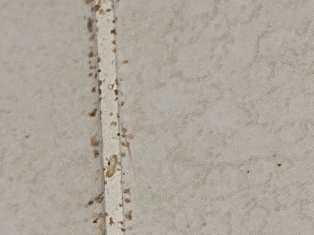 蛙○○附上的照片 2
