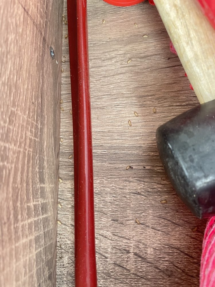 張○○附上的照片 3
