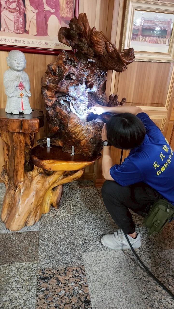 日月禪寺:處理樹根雕刻底座的白蟻