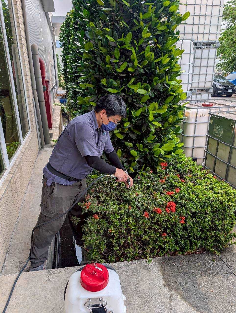 光氏師傅處理住家植栽區