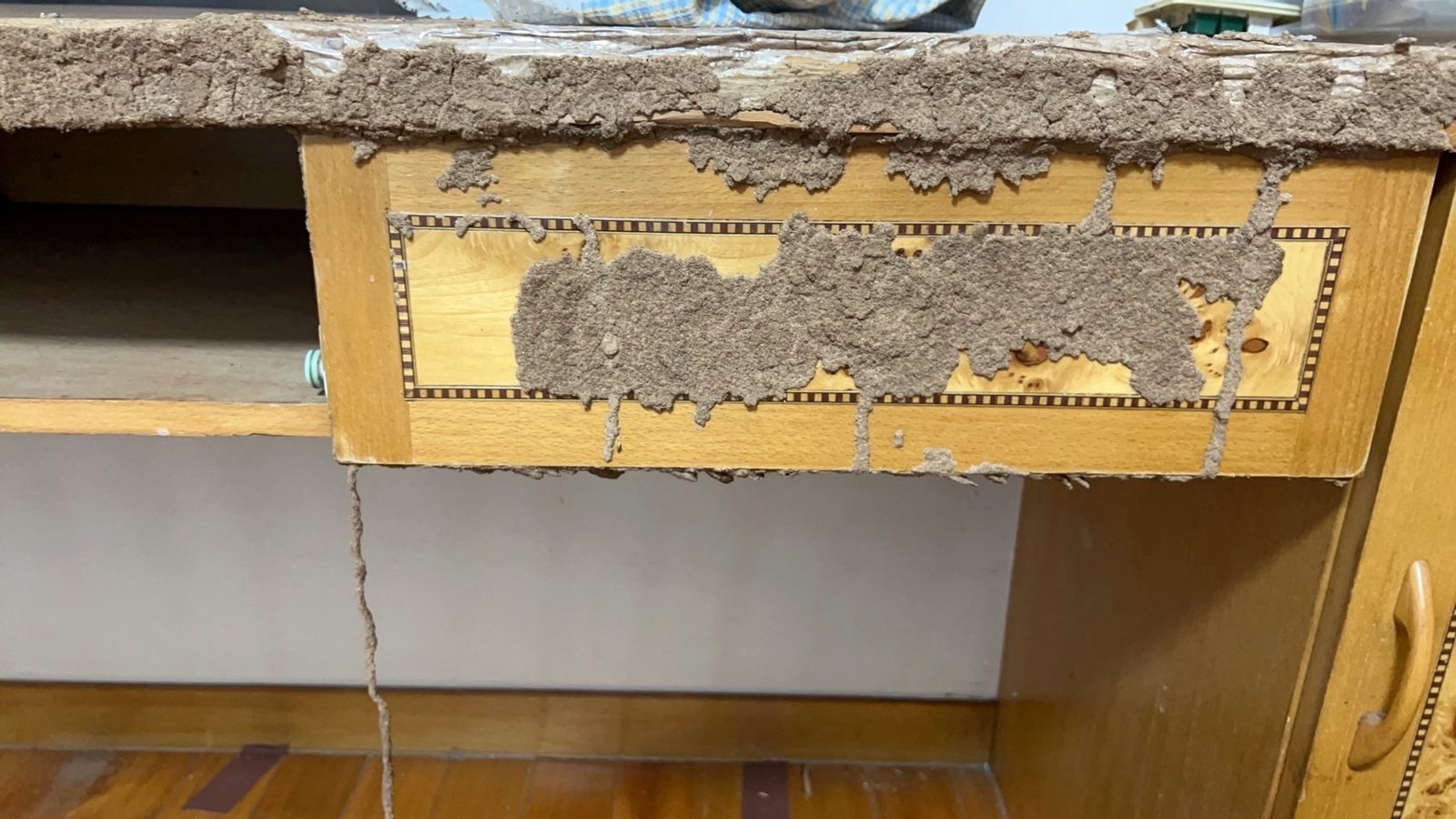 書桌抽屜面板被白蟻泥土覆蓋,一條蟻道從抽屜垂到地板