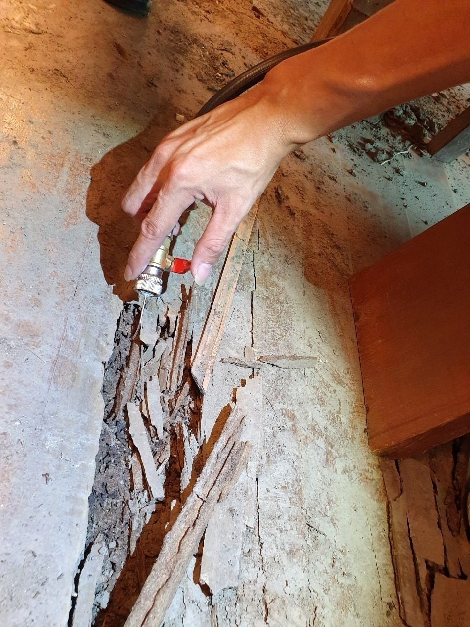 以注藥槍對被白蟻蛀空的木板注藥