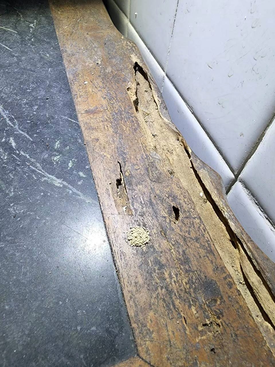 木門檻被蛀，表面堆著一小堆砂粒狀排遺