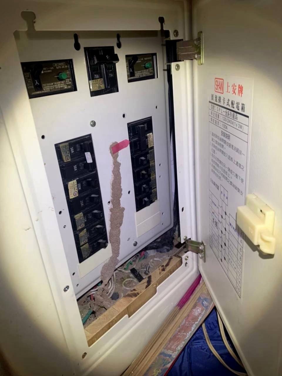 打開的電箱裡，斷路器之間的白蟻泥土蟻道