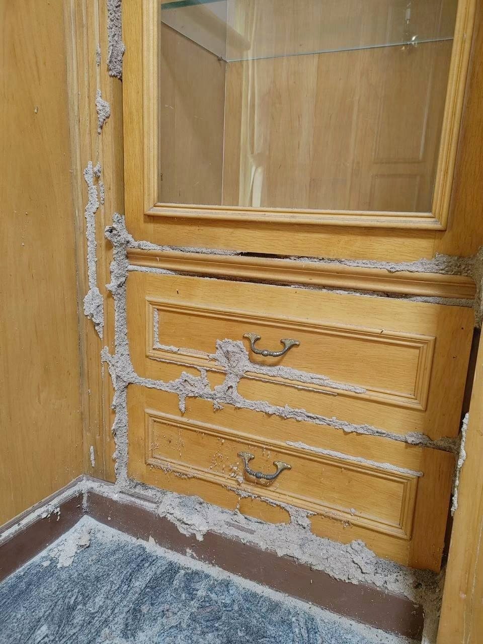 木作抽屜櫃表面布滿白蟻泥土蟻道