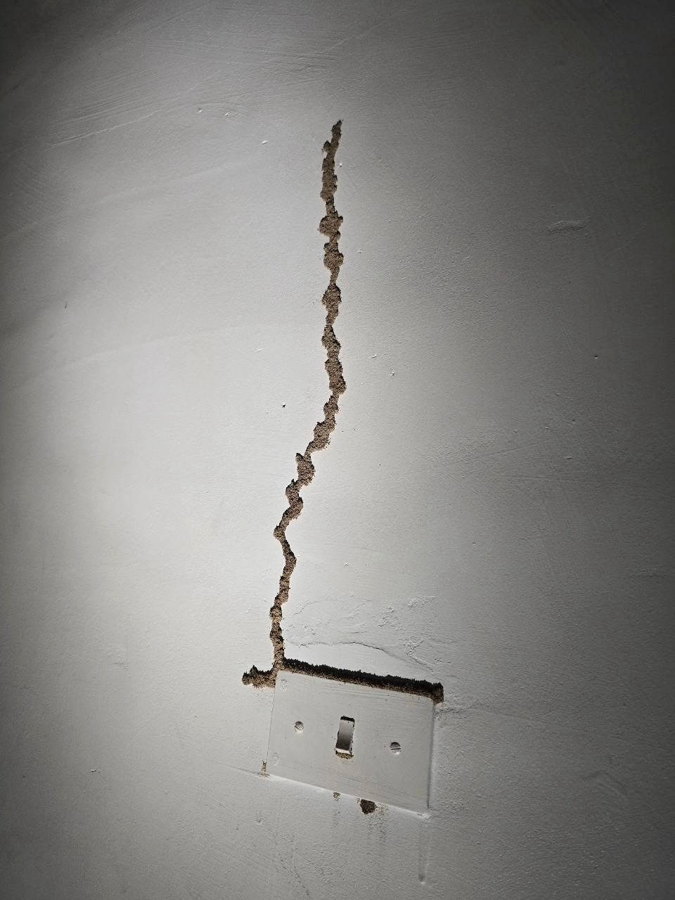 白牆上一條白蟻蟻道一路通往電燈開關