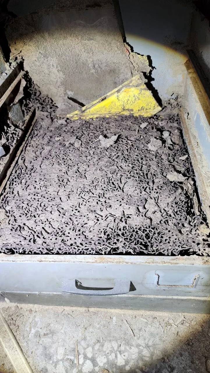 鐵櫃抽屜裡被整片蜂巢狀白蟻巢填滿