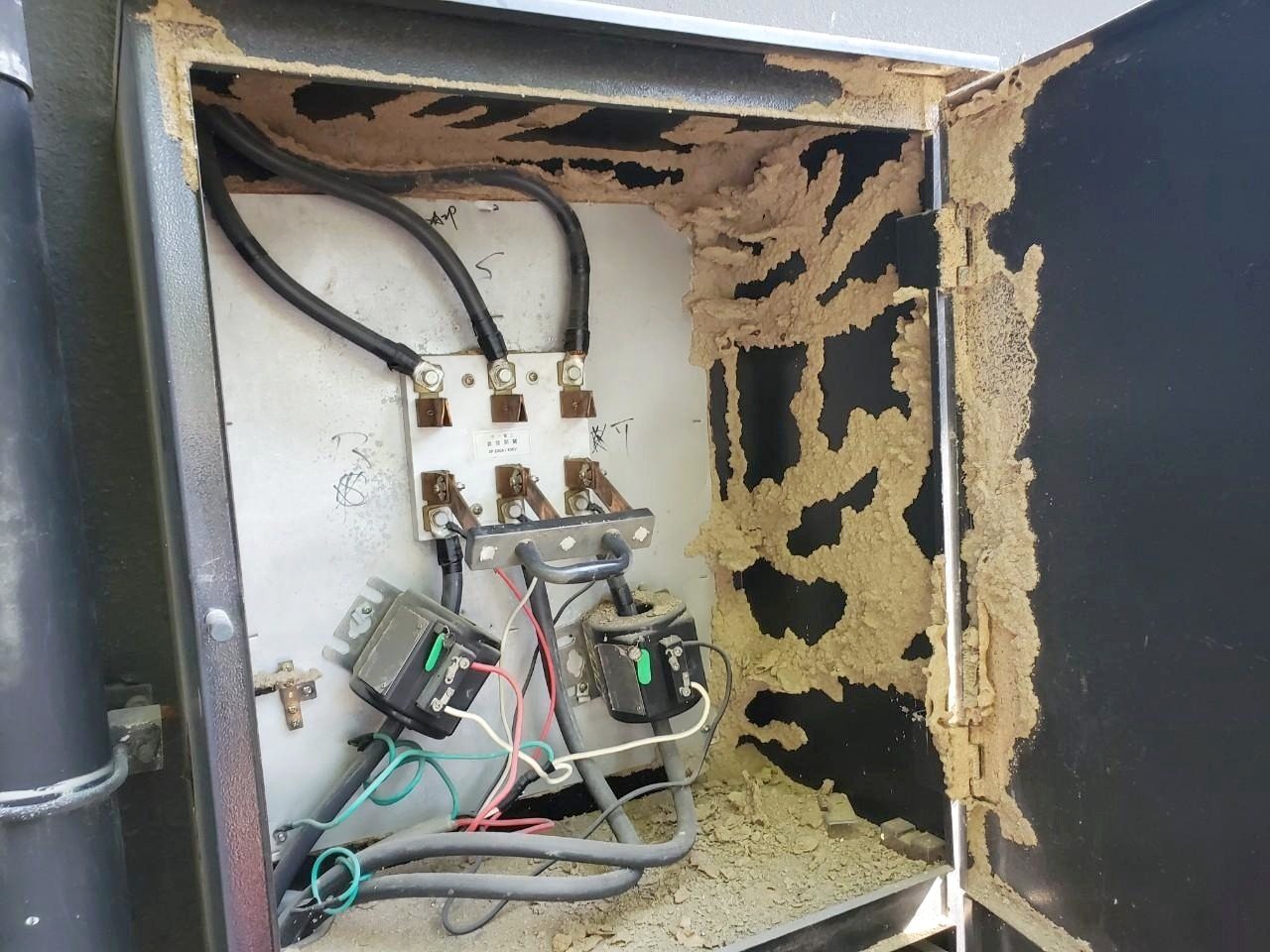 戶外電箱門內與箱壁布滿白蟻泥土蟻道